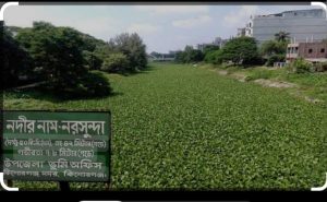 নরসুন্দা নদীটি বাংলাদেশের উত্তর-পূর্বাঞ্চলের কিশোরগঞ্জ ও ময়মনসিংহ জেলার একটি নদী। নদীটি মূলত কিশোরগঞ্জ জেলা শহর এবং নান্দাইল ও ঈশ্বরগঞ্জ উপজেলা শহর এ নদীর তীরে অবস্থিত। নদীটির দৈর্ঘ্য ৫৭ কিলোমিটার, গড় প্রস্থ ৮০ মিটার ৷৷বর্তমানে নদীটি মৃত প্রায়। দেখা যায় কিশোরগঞ্জ বড়বাজারের আবর্জনা, অবৈধ দখলে-দূষণে নদীটি আজ ধ্বংশ প্রায়। দেখলে মনে হবে ময়লার বাগাড়৷